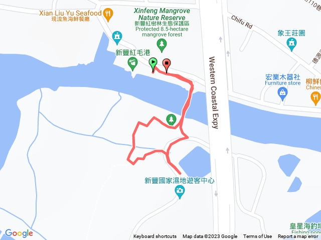 新竹新豐紅樹林保護區步道20230717預覽圖