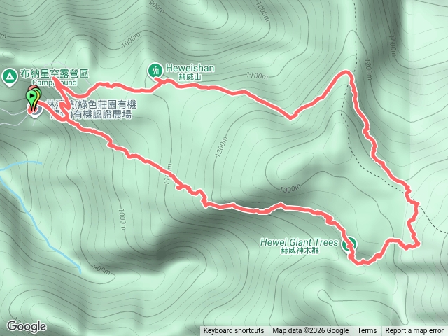 115/8/30-赫威神木群步道+赫威山（一進二出）預覽圖