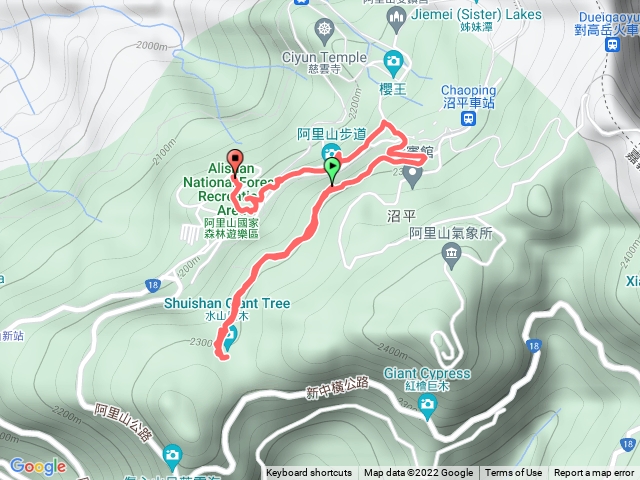 阿里山水山神木