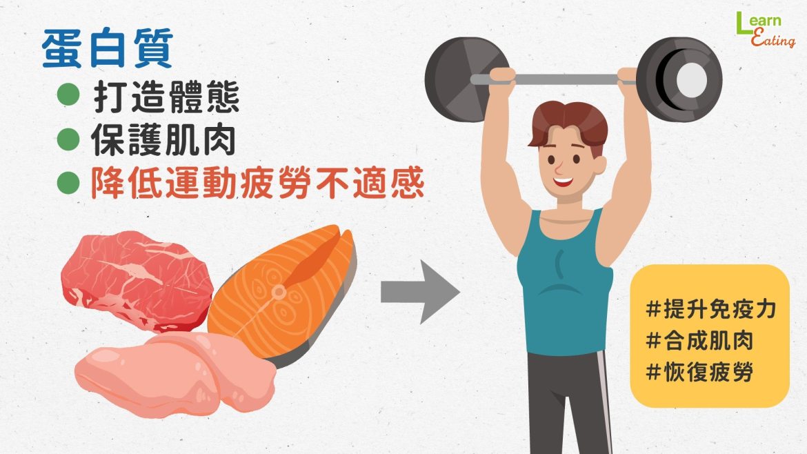 【飲食】除了蛋白質之外，運動族群更該注意