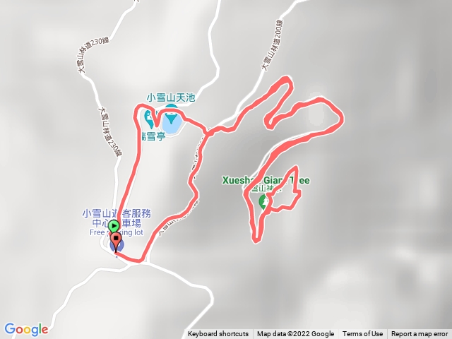 雪山神木