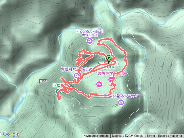 2024-12-06 惠蓀林場｜松風山步道｜涉水步道｜山嵐小徑｜巨松台步道｜觀景台步道｜杜鵑嶺步道預覽圖