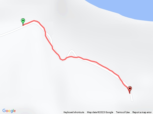 棚集山植物紀錄01