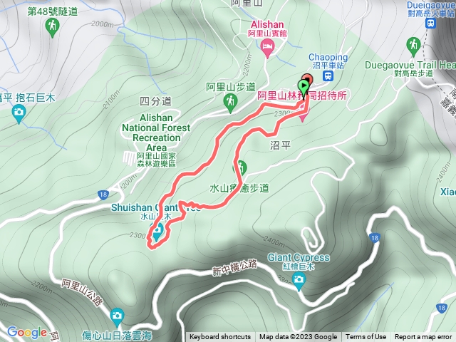 BMI30阿里山水山巨木O