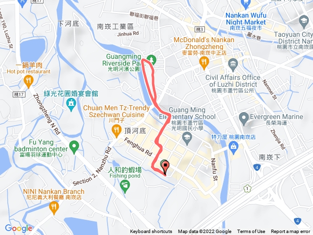 南崁溪夜鷺