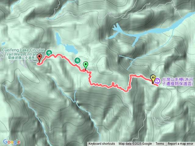 台灣山毛櫸步道20251108