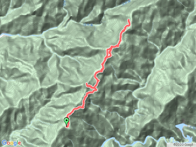 雪見大板根、北坑山、東洗水山