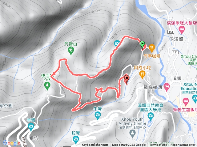 溪頭山竹林茶樹區