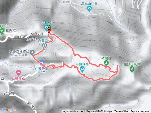 嶺頭山、忘憂森林，O型路線，適合新手體驗原始山林感