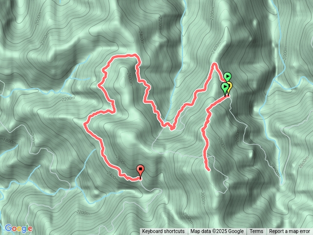 中雪山林道／西勢林道