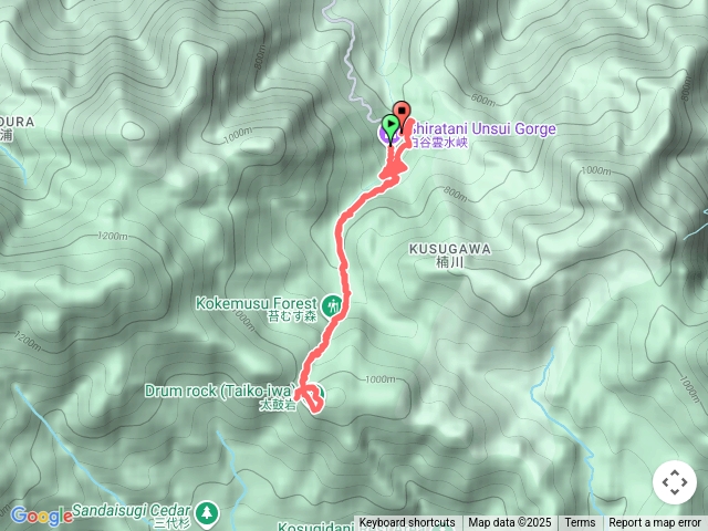 屋久島白谷雲水峽