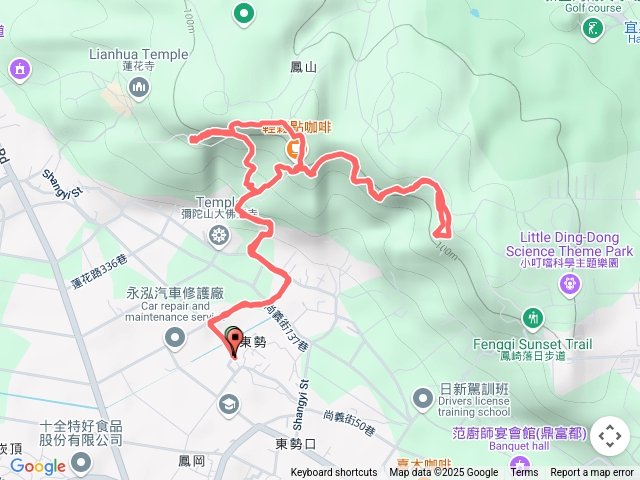 鳳崎桐花