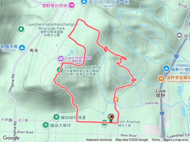 龍高步道大O