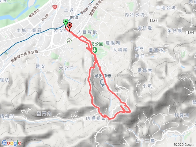 20200315 桐花公園