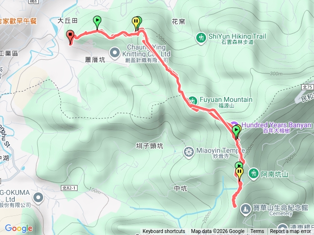 福源山-百年大榕樹-大樹佛