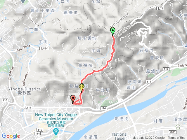 孫龍-百年大榕樹