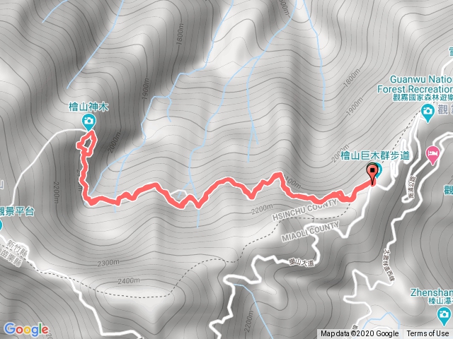 觀霧巨木步道到巨木來回
