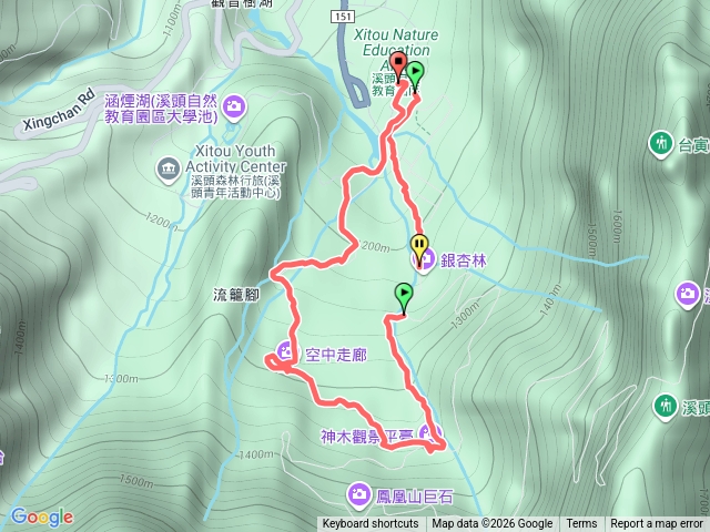 溪頭神木步道預覽圖