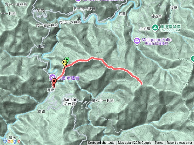 芝生虎禮預覽圖