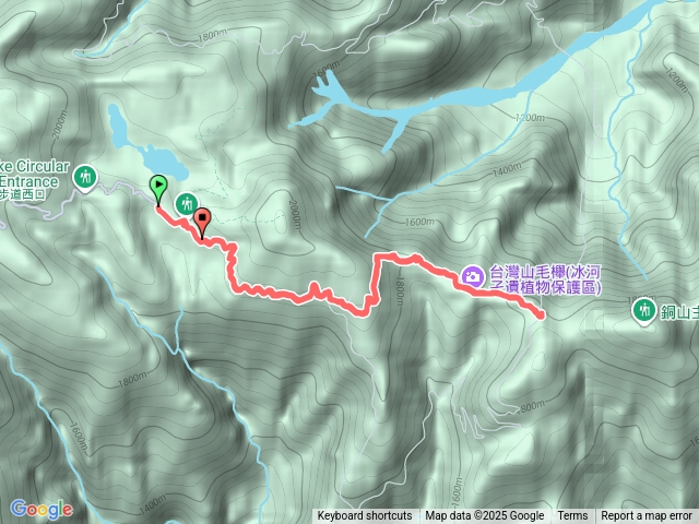 20251108台灣山毛櫸步道