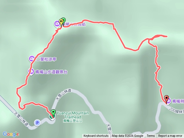 鳶嘴山走走(神木前下撤預覽圖