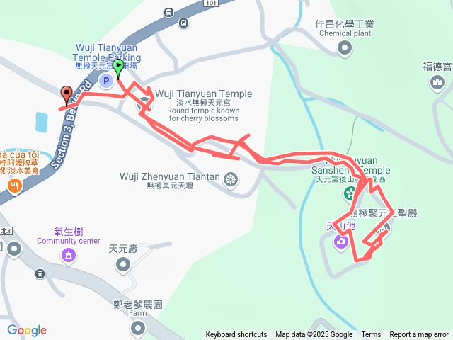 淡水無極天元宮欣賞三色櫻 (夜櫻）