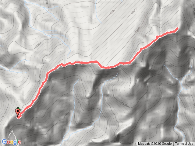 橫龍古道-騰龍山-杜鵑嶺-加里山(原路來回)