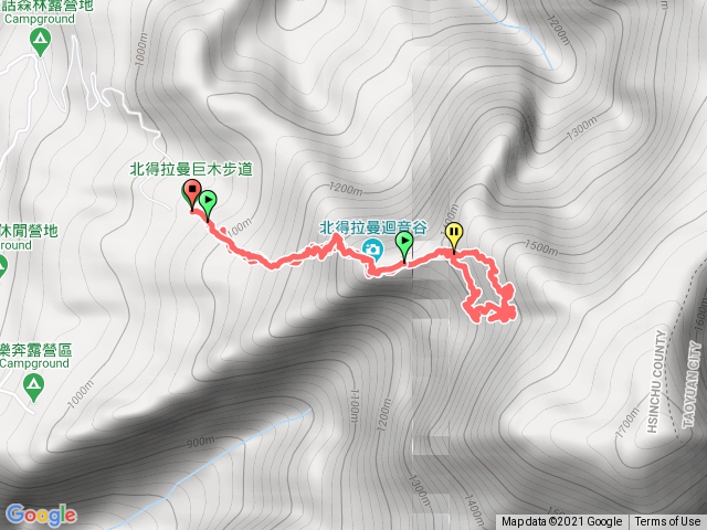 北得拉曼賞老木
