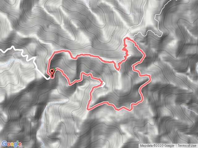 鳶嘴稍來畫圈圈