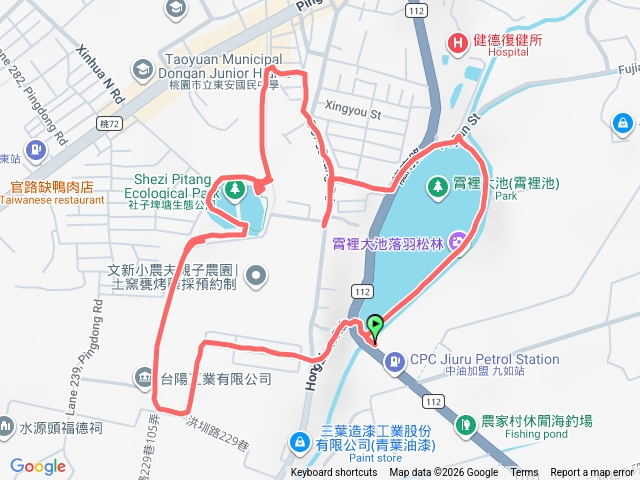 霄裡大池落羽松林