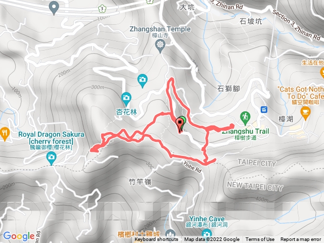 樟湖優人飛龍樟樹連走