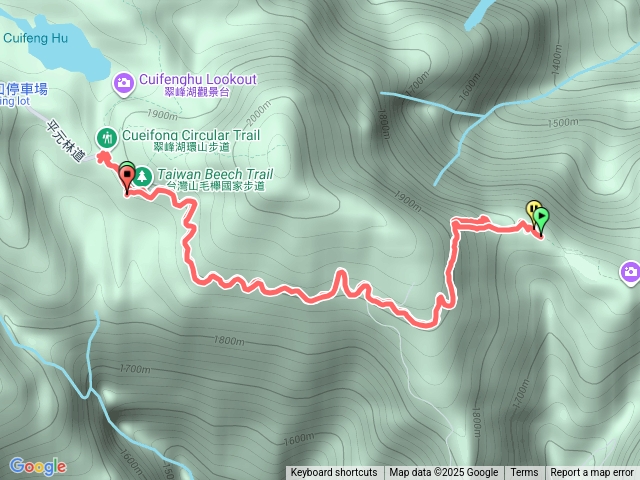 太平山山毛櫸步道
