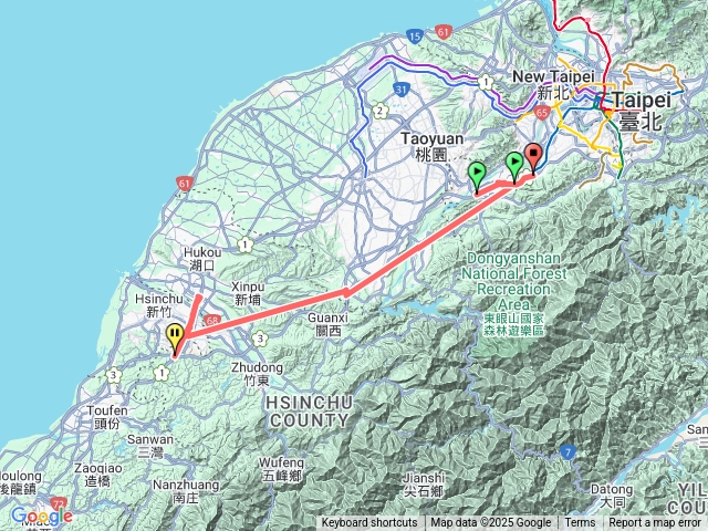 0918紅火蟻餌劑防治