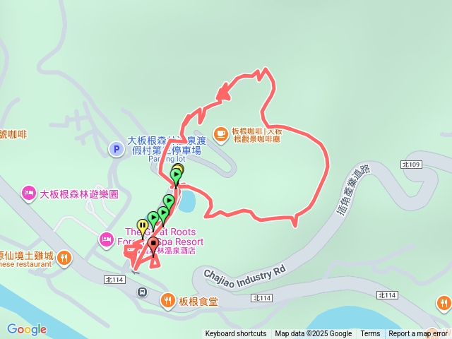 20250810大板根一環