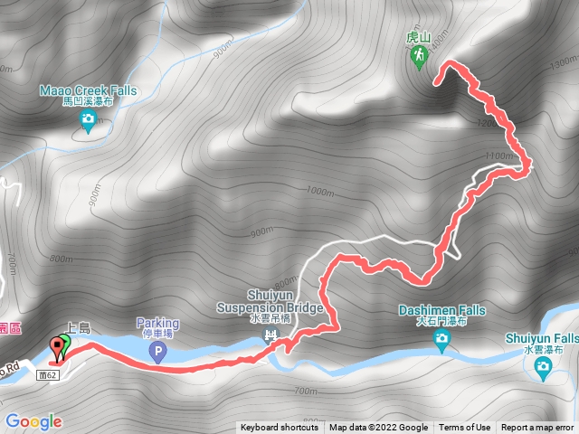 大老虎🐯帶小老虎縱虎歸山