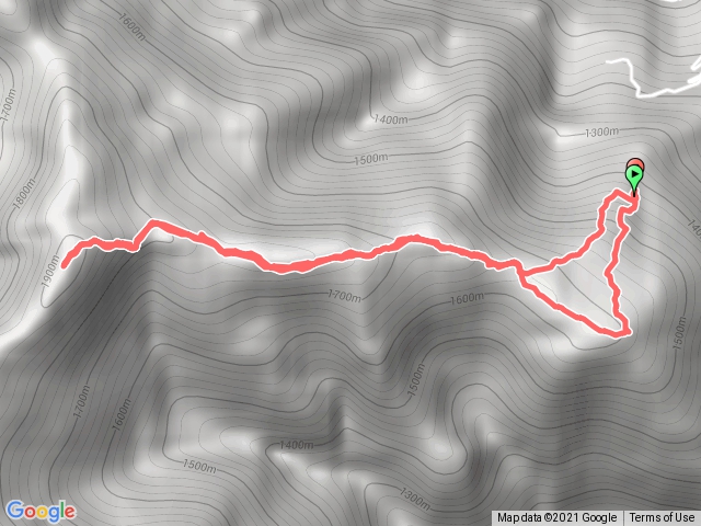 屯野生台山+石麻達山 原路回