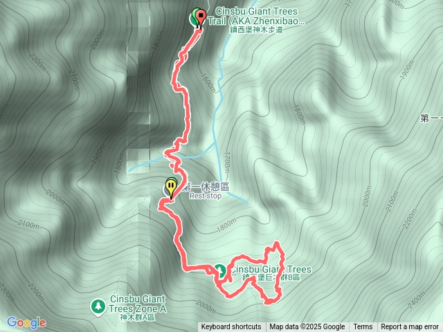 鎮西堡巨木群步道B區