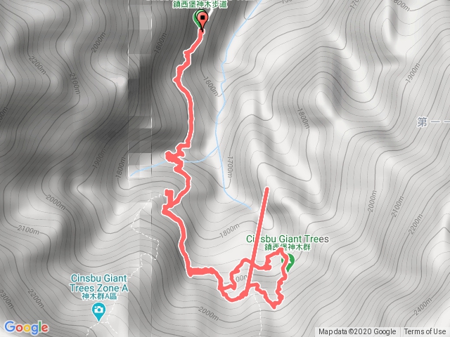鎮西堡B區巨木群