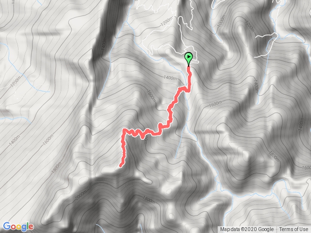 加里山-由鹿場登山口