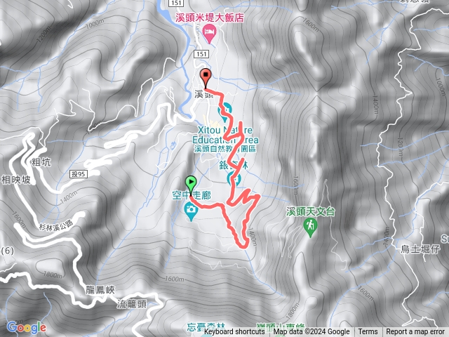 溪頭銀杏步道+ 沿溪步道