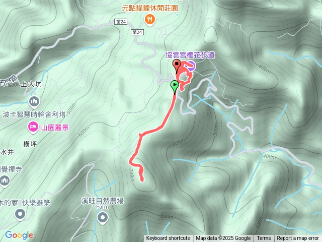 八角崠山+協雲宮櫻花步道20250215