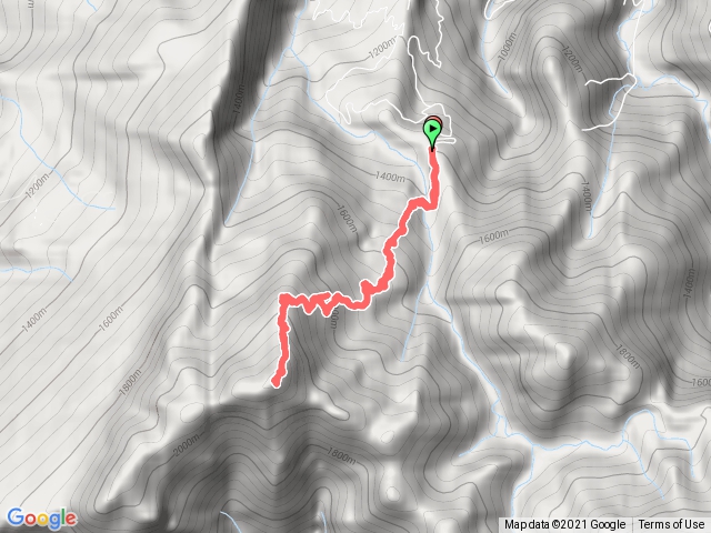 加里山鹿野來回