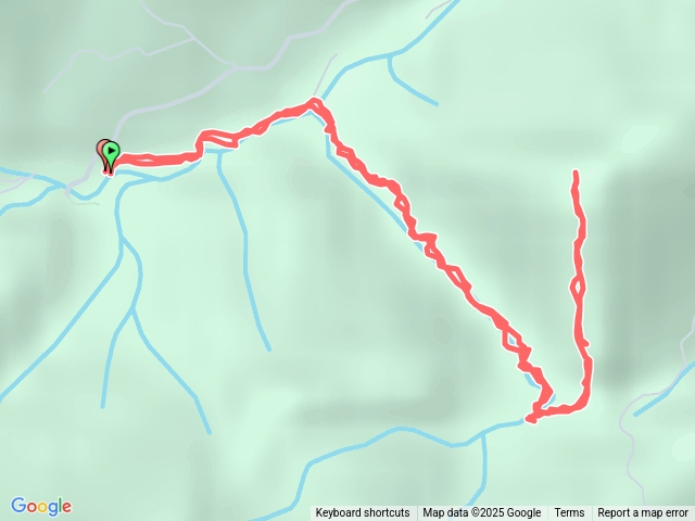 2025-09-06新北市內盤山坑古道-內盤山坑土地公-中坑西山來回走