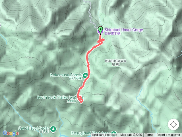 屋久島白谷雲水峽