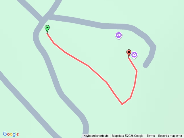 小百岳集起來太麻里金針山木馬步道202601251635預覽圖