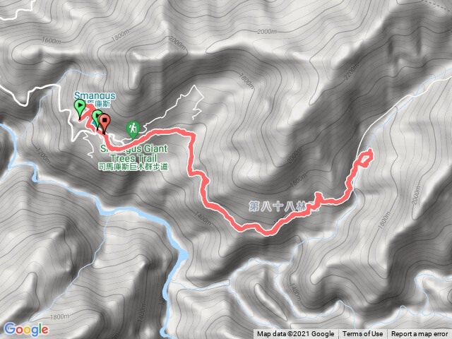 司馬庫斯巨木群