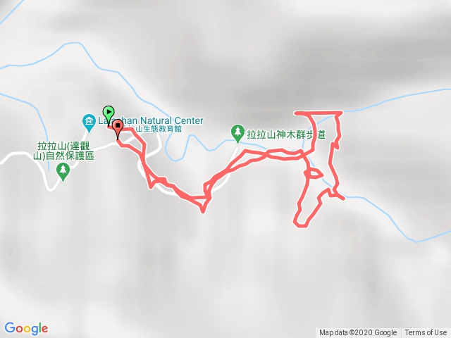 漫遊拉拉山巨木區