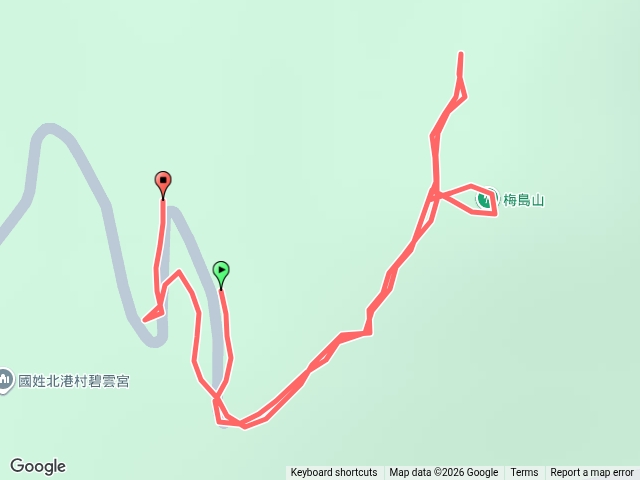 20260528_梅島山_白頭翁