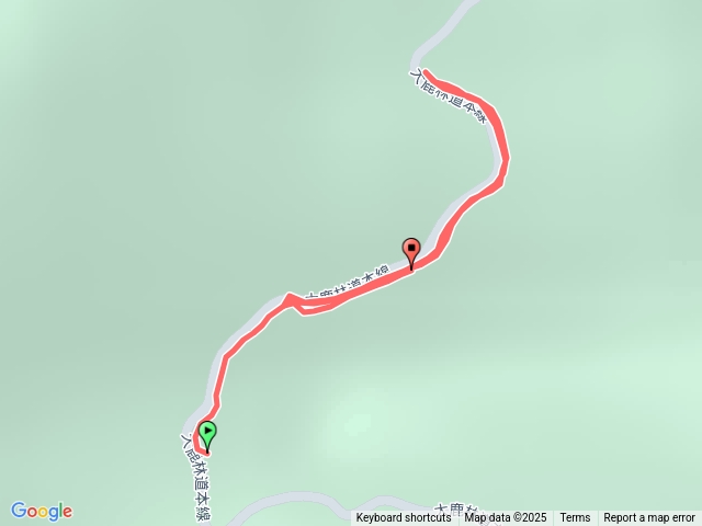 觀霧-大鹿林道6.5公里