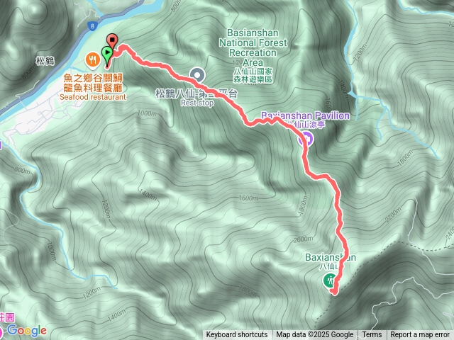 20250209八仙山（松鶴上」